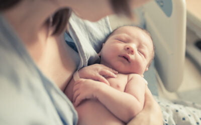Investigations Into Contaminated Baby Formula