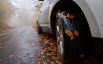 Avoiding Fall Car Accidents: Leaves, Rain and Fog – Oh My!