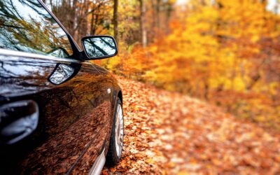 Stay Injury-Free this November
